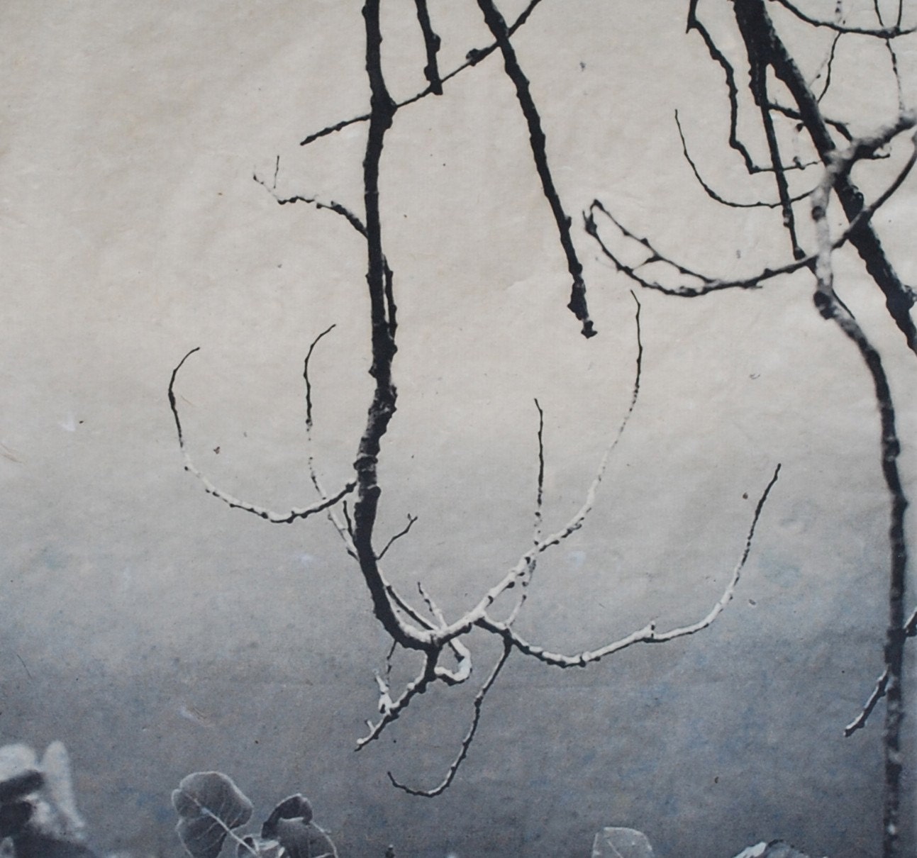 Branch Silhouette, etching on handmade paper