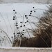 art print etchings on handmade paper