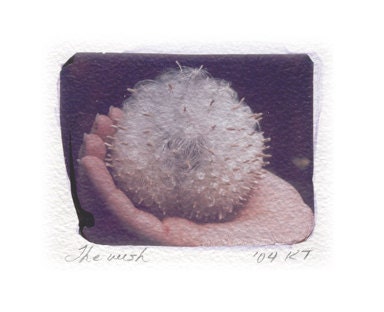 The Wish, unique one-of-a-kind print