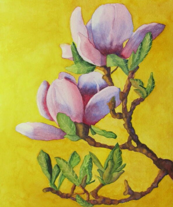 Pink Magnolia, Barbara Rosenzweig, Art Print, Etsy, Flower Floral Reproduction of Original Watercolor Painting Gold Botanical