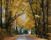 Fine Art Photography Prints , Scenic Photo Art Print 8x10 , "Sleepy Hollow" Gifts under 30