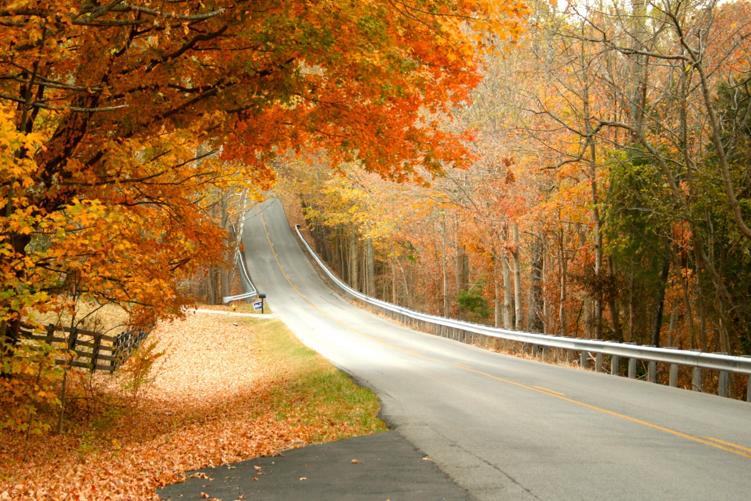 Canvas Print, 11 x 14 , Fine Art Photography, "Fall in Kentucky"