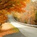 Canvas Print, 11 x 14 , Fine Art Photography, "Fall in Kentucky"