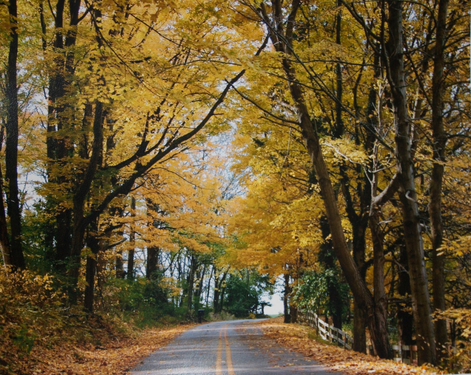 Fine Art Photography Prints , Scenic Photo Art Print 8x10 , "Sleepy Hollow" Gifts under 30