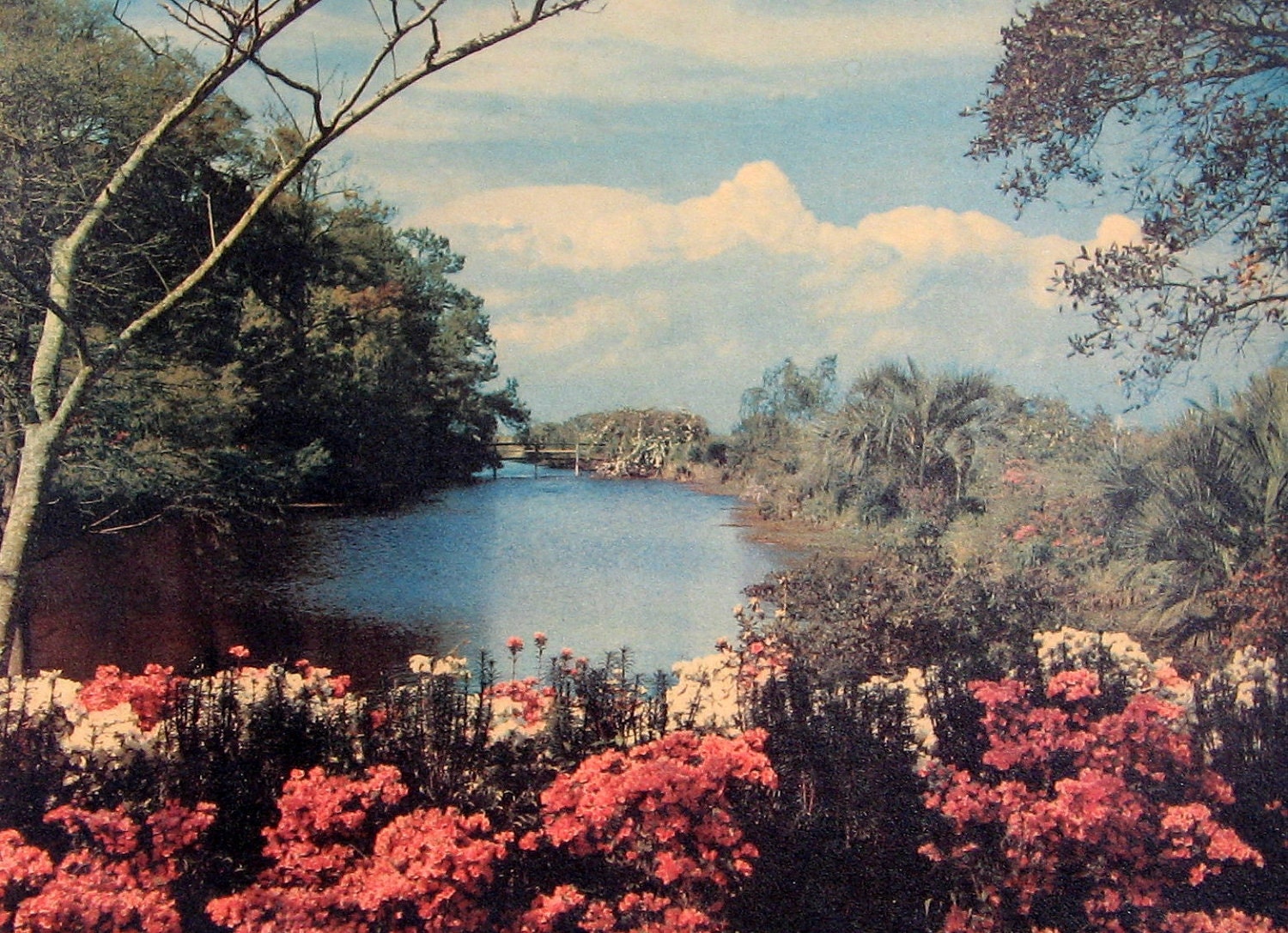 Vintage Art Print Springtime Lake Water Trees Flowers Bridge Blue Sky - 1930s - Ready to Frame