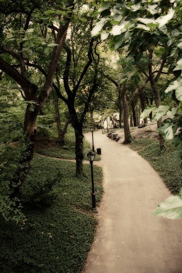 Central Park Pathway - Vintage - Photograph - 8x12