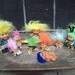 Instant Collection Of Troll Dolls