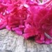 Pink Chinese Wool Flower seed