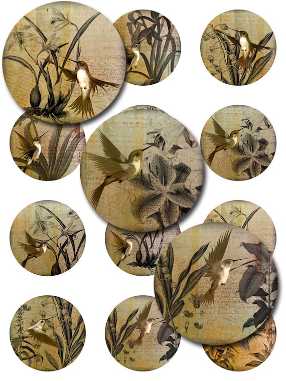 Hummingbirds Vintage Ephemera Botanical Digital Collage Sheet 1 inch Rounds JPEG (12-79)