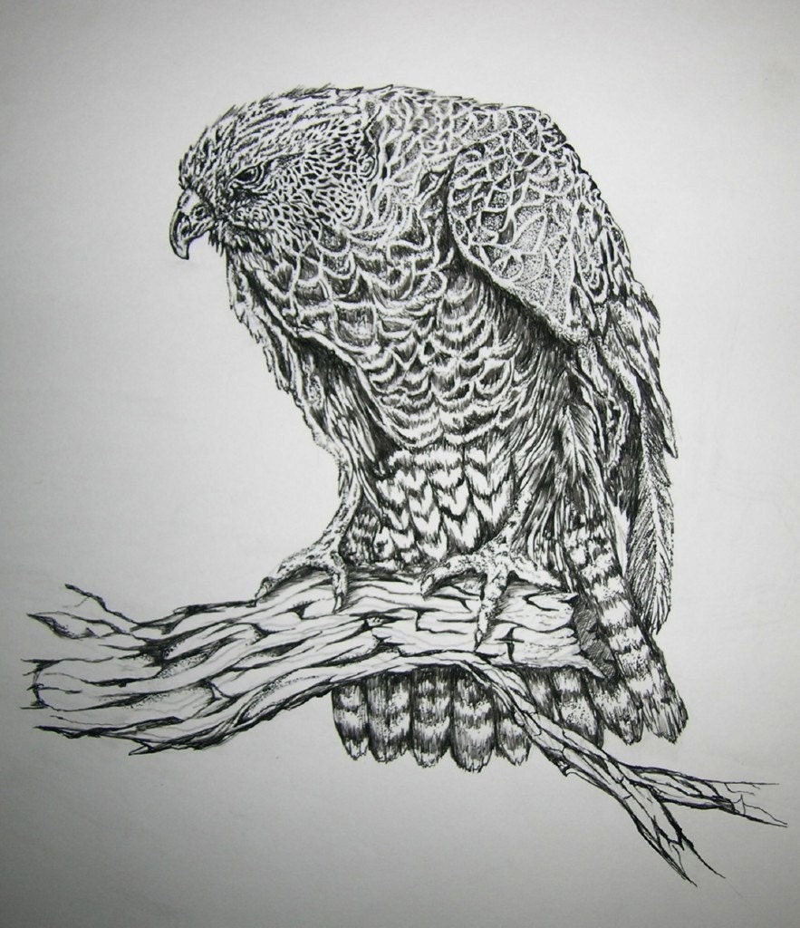 Items similar to Original Pen & Ink Eagle Drawing on Etsy