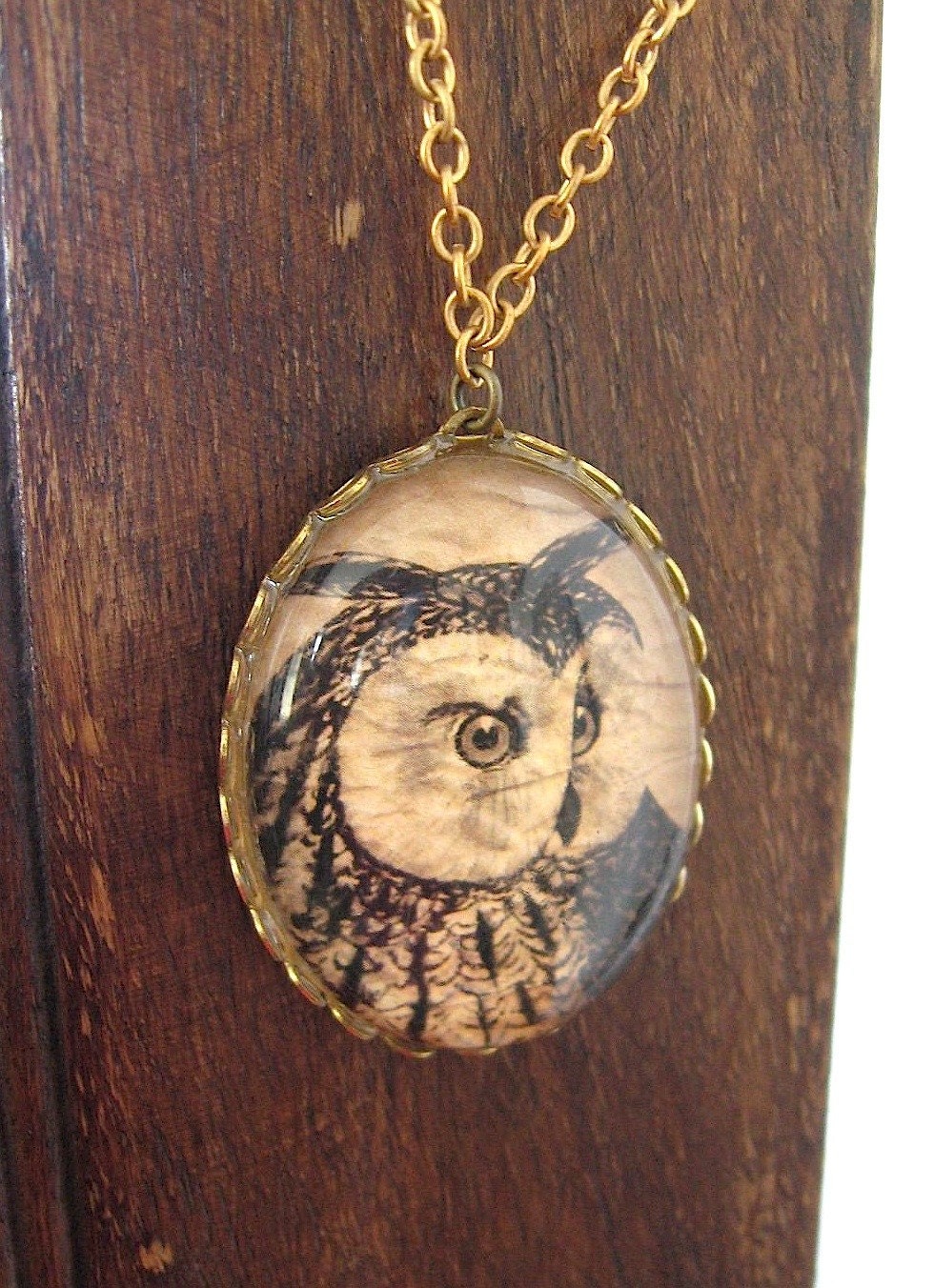 Vintage Owl Illustration Necklace - Flora Fauna- Brass Chain - Owl Necklace - 24 inches long