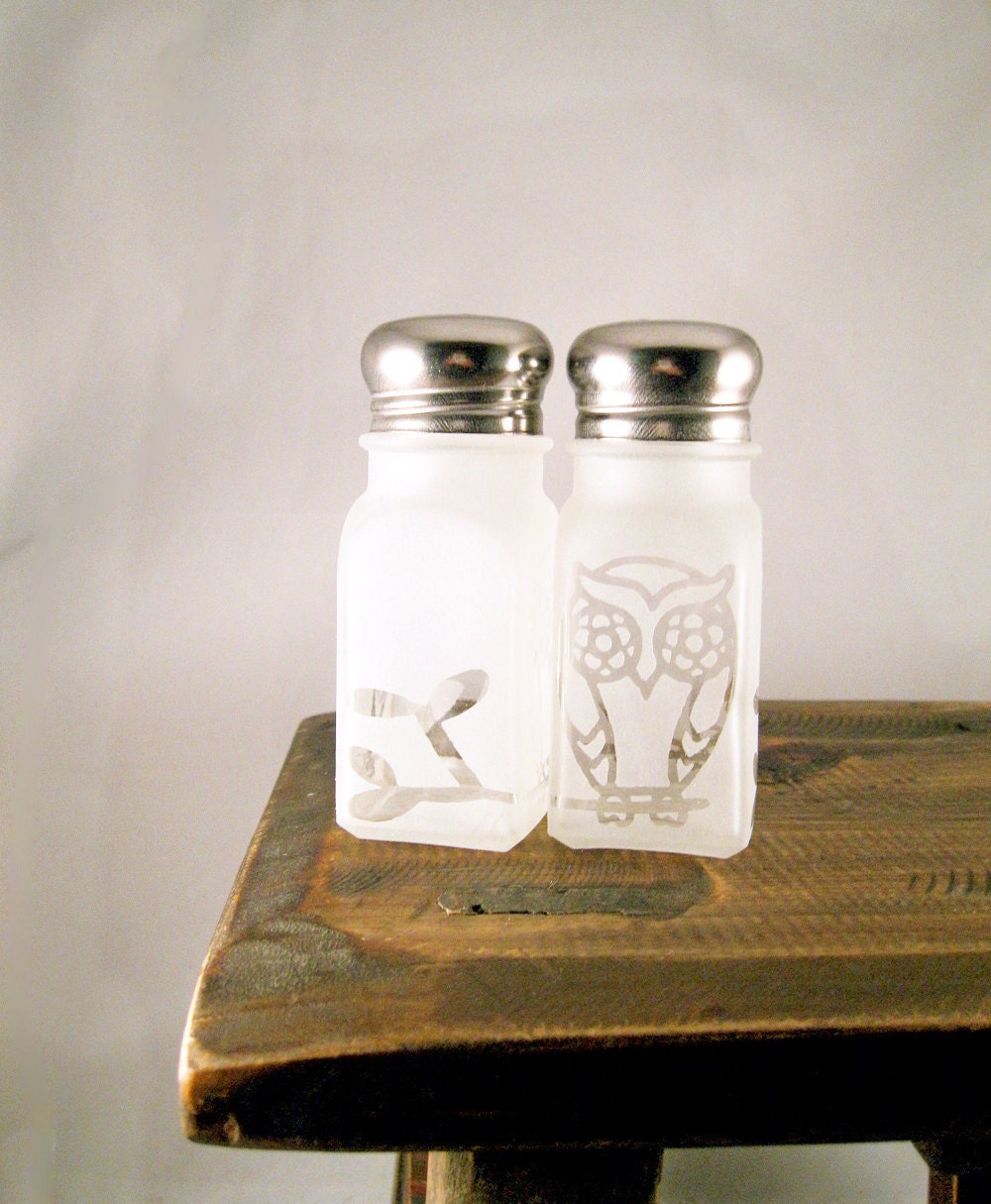 Owl Salt and Pepper Shakers Etched Glass