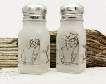 Owl Salt and Pepper Shakers Etched Glass