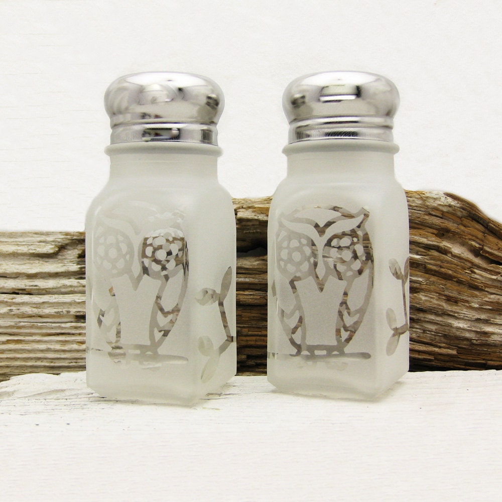 Owl Salt and Pepper Shakers Etched Glass