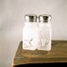 Owl Salt and Pepper Shakers Etched Glass