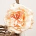 Rustic Flower Girl Basket with Peach Rose