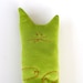 Mr Cha - Mister Cat