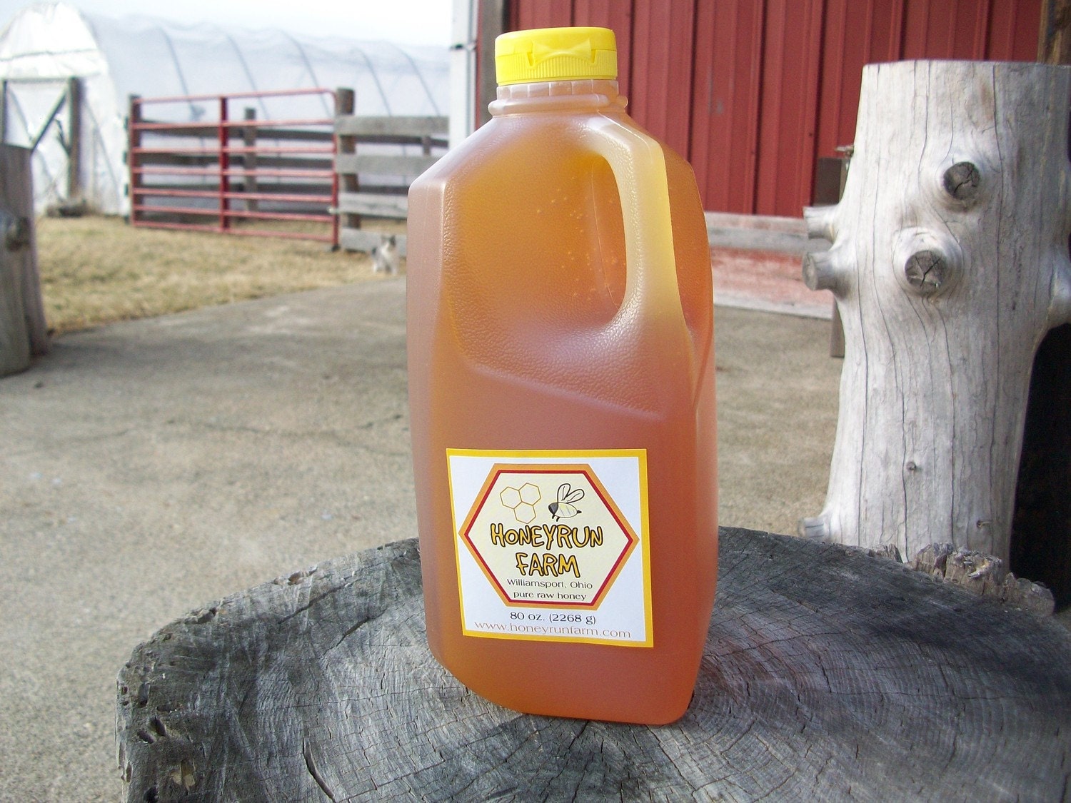 Raw Honey - Ohio Summer Harvest - 5 lb. jug