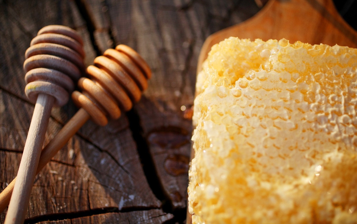 Pure raw comb honey - straight from the beehive