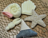 Kids Felt Shells Star Fish and Sharks Tooth