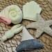 Kids Felt Shells Star Fish and Sharks Tooth