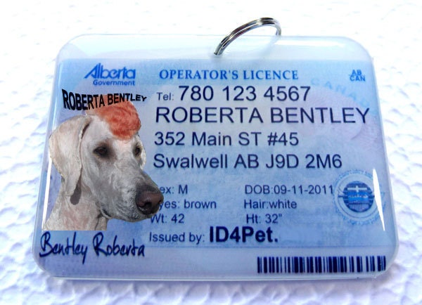 Canada Alberta Driver License for cats or dogs by ID4Pet