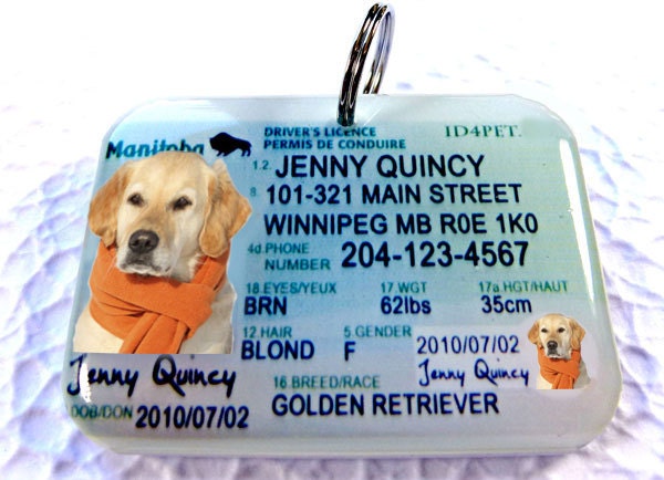 Canada Ontario Driver License Operator's License ID Tag for Cats/Dogs/Pets by ID4Pet