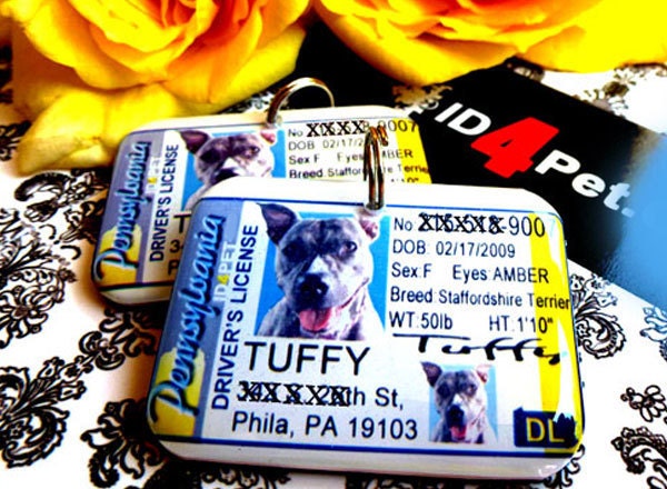 Pet ID Tag Pennsylvania Driver License Double Sided. With Your Own Pet Photo by ID4Pet