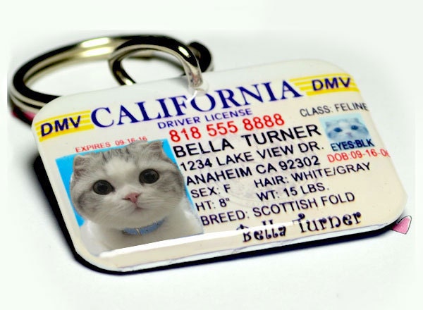 Tennessee Driver License Dog driver license Cat Driver License Double Side by ID4Pet