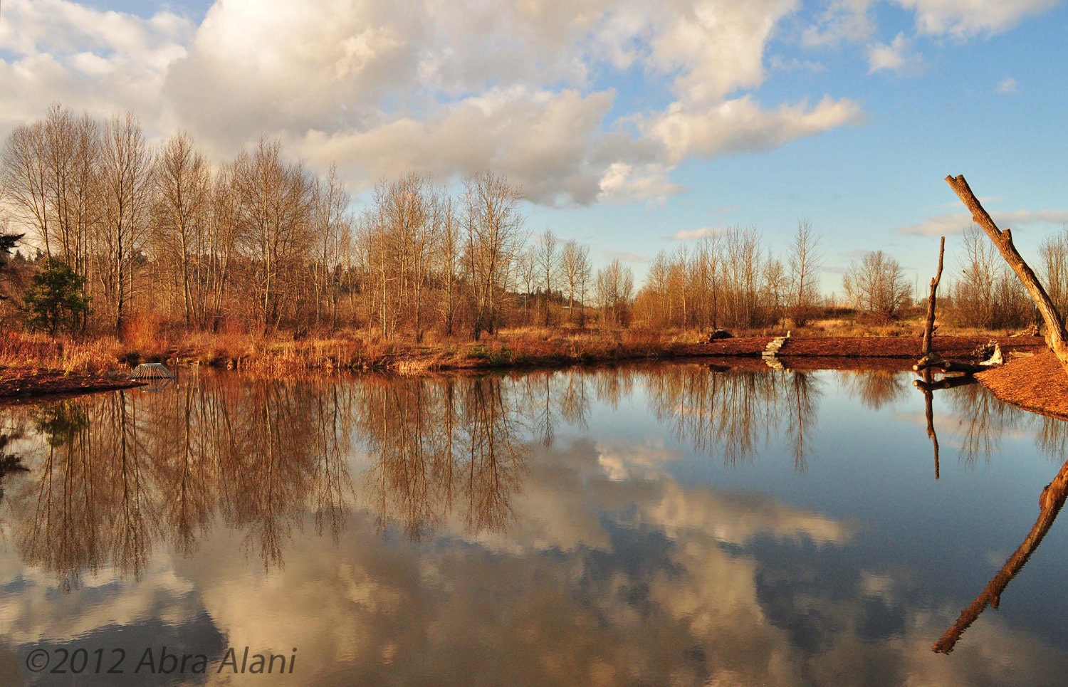 Nature Photography Serene Lakeside View Notecards - set of six - blank inside
