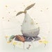 Island Still Life No. 8