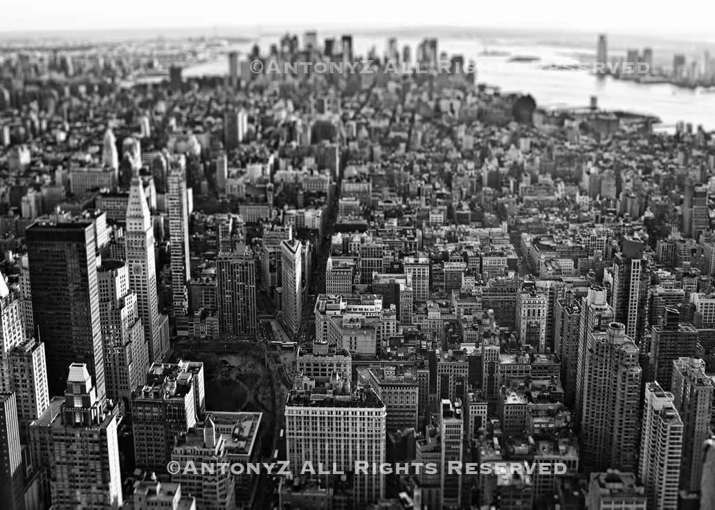 Looking Across New York City Skyline Fine Art Print - 8x10 Black and White
