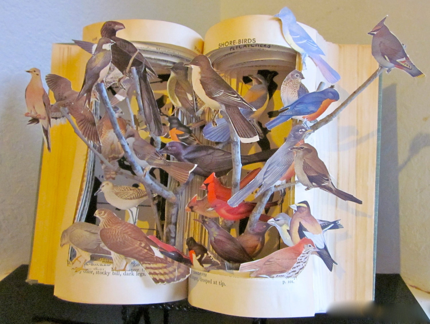 Altered Book Autopsy "Birds of A Feather"