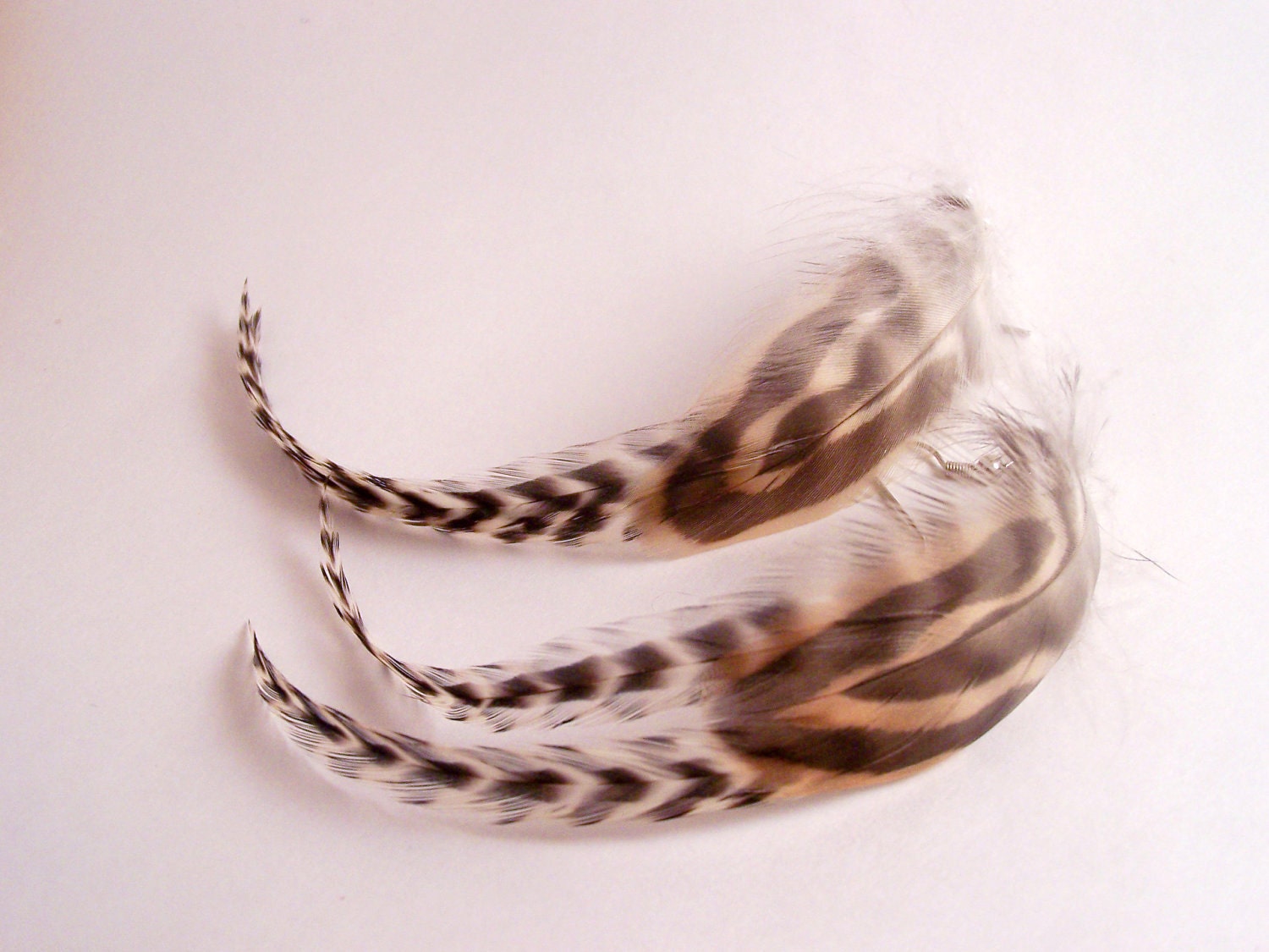 Feather earrings Extra Long Smooth - Tiger striped BOHO Grizzly Bar and Mallard hen