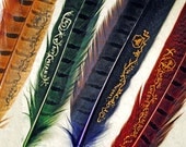 Ravenclaw Hogwarts House Quill