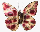 Ruby Red Dotted Butterfly