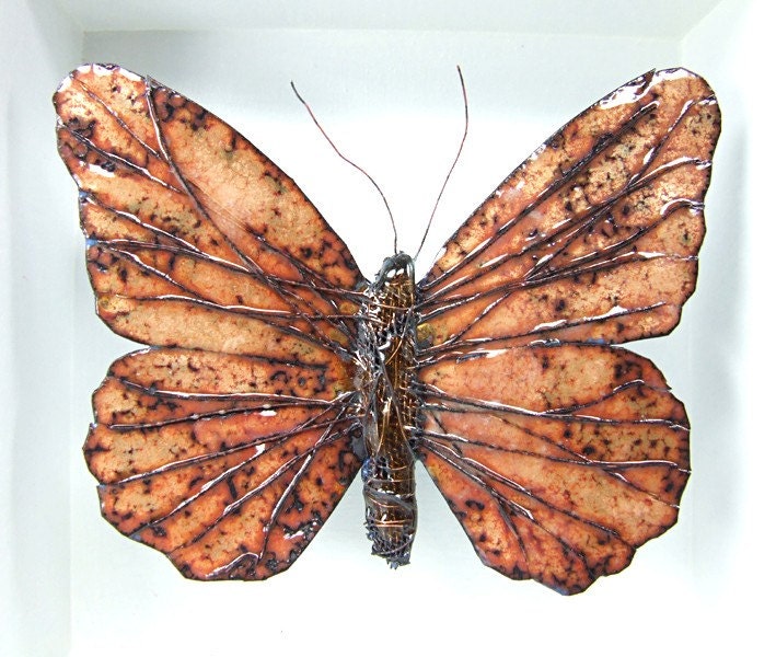 Transparent enameld butterfly