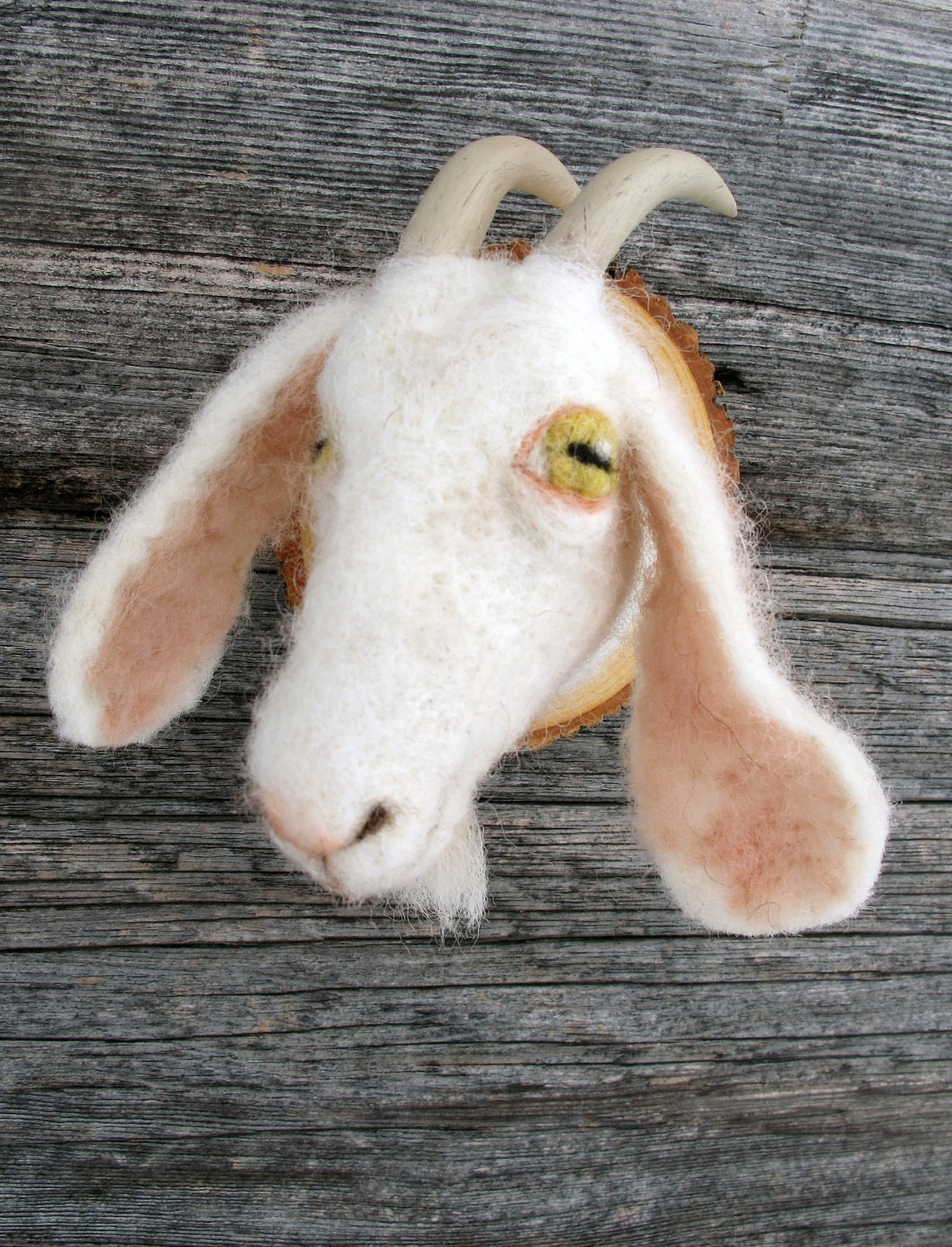 Miniature goat torso