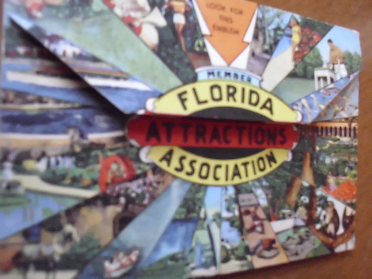 Vintage Postcard Book of Florida Tourist Attractions