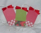 Strawberry and Plaid Gift Tag Set