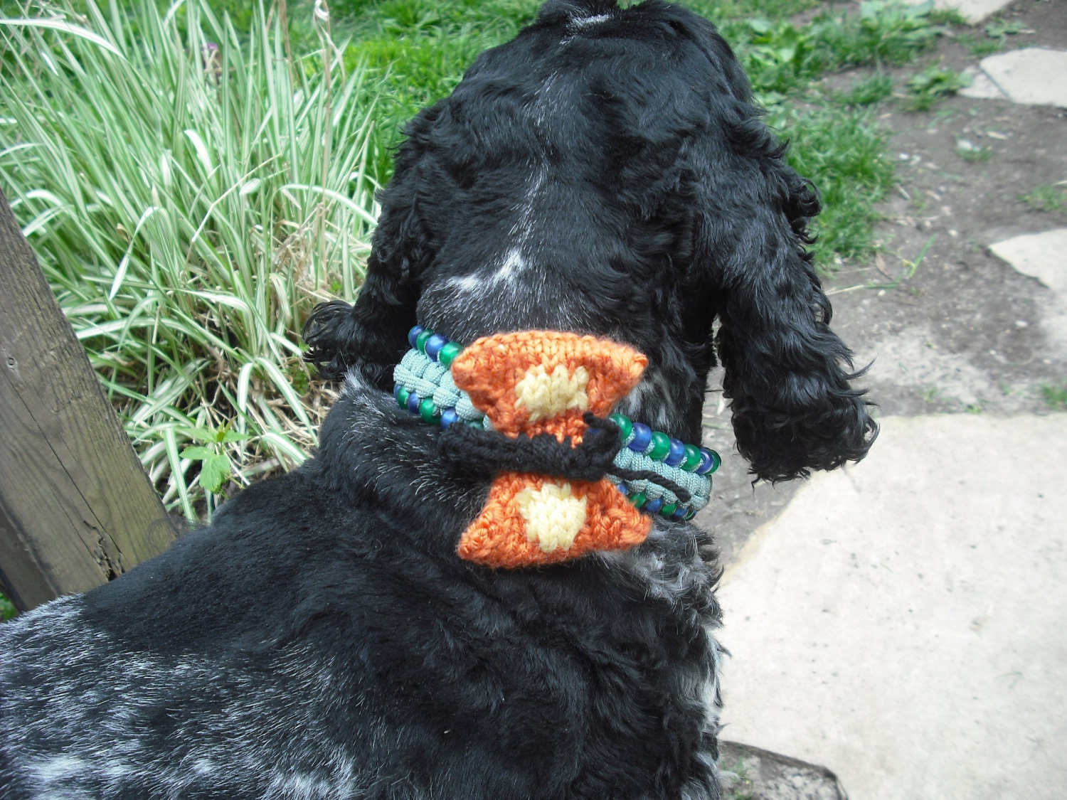 Knitted Dog Collar Accessory, butterfly