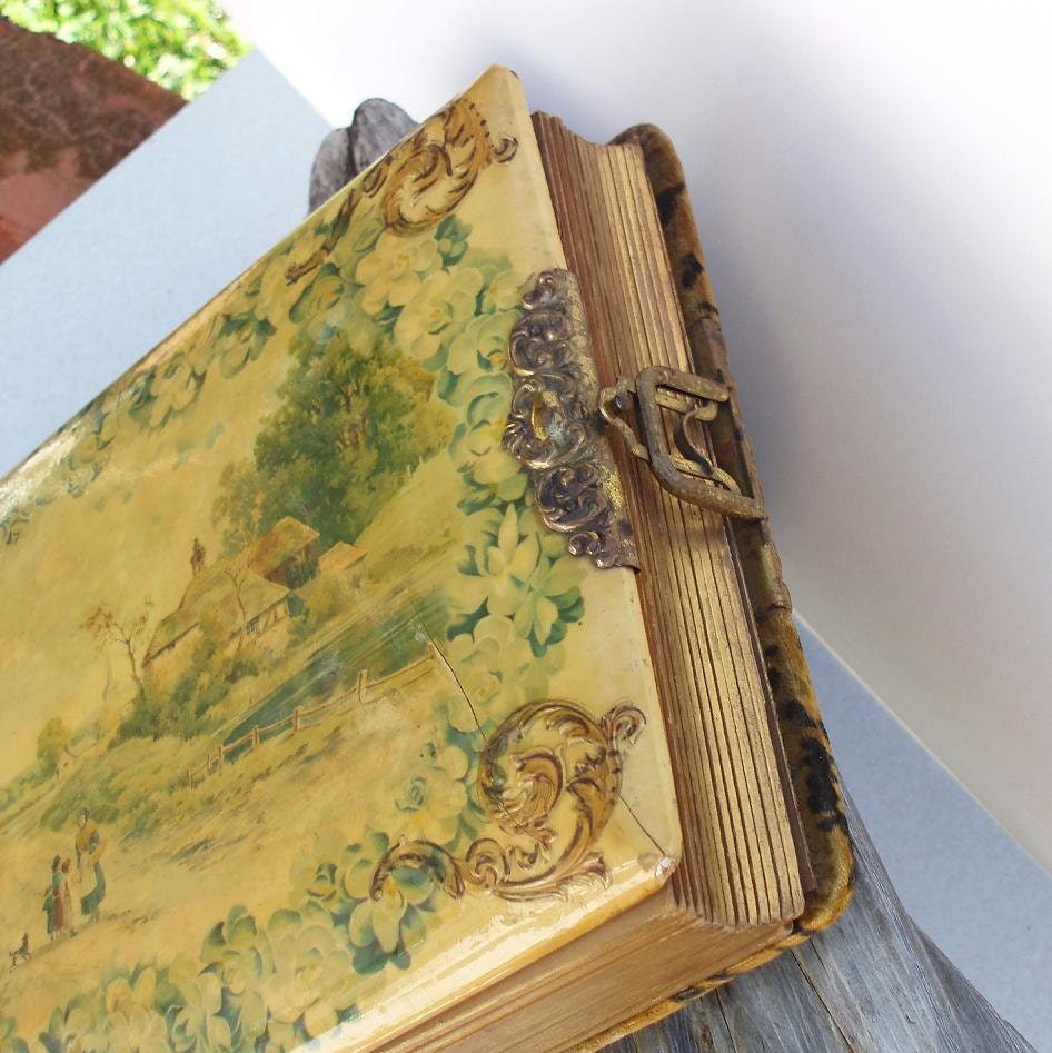 Victorian Photo Album, Antique Celluloid, Landscape Art, Vintage Photographs - Yellow - Green - Gold