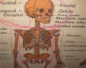 Vintage Mid Century French School Poster