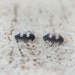 Black Baby Bat Earrings