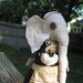 Evelyn a Prim Elephant Pin Keep