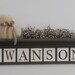 Personalized Family Name Signs 36" Shelf with 9 Wooden Letter Tiles Painted Chocolate Brown and White - SWANSON with Bold Ivy Leaves