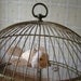 Vintage Round Brass Hendryx Birdcage with clear glass feeders