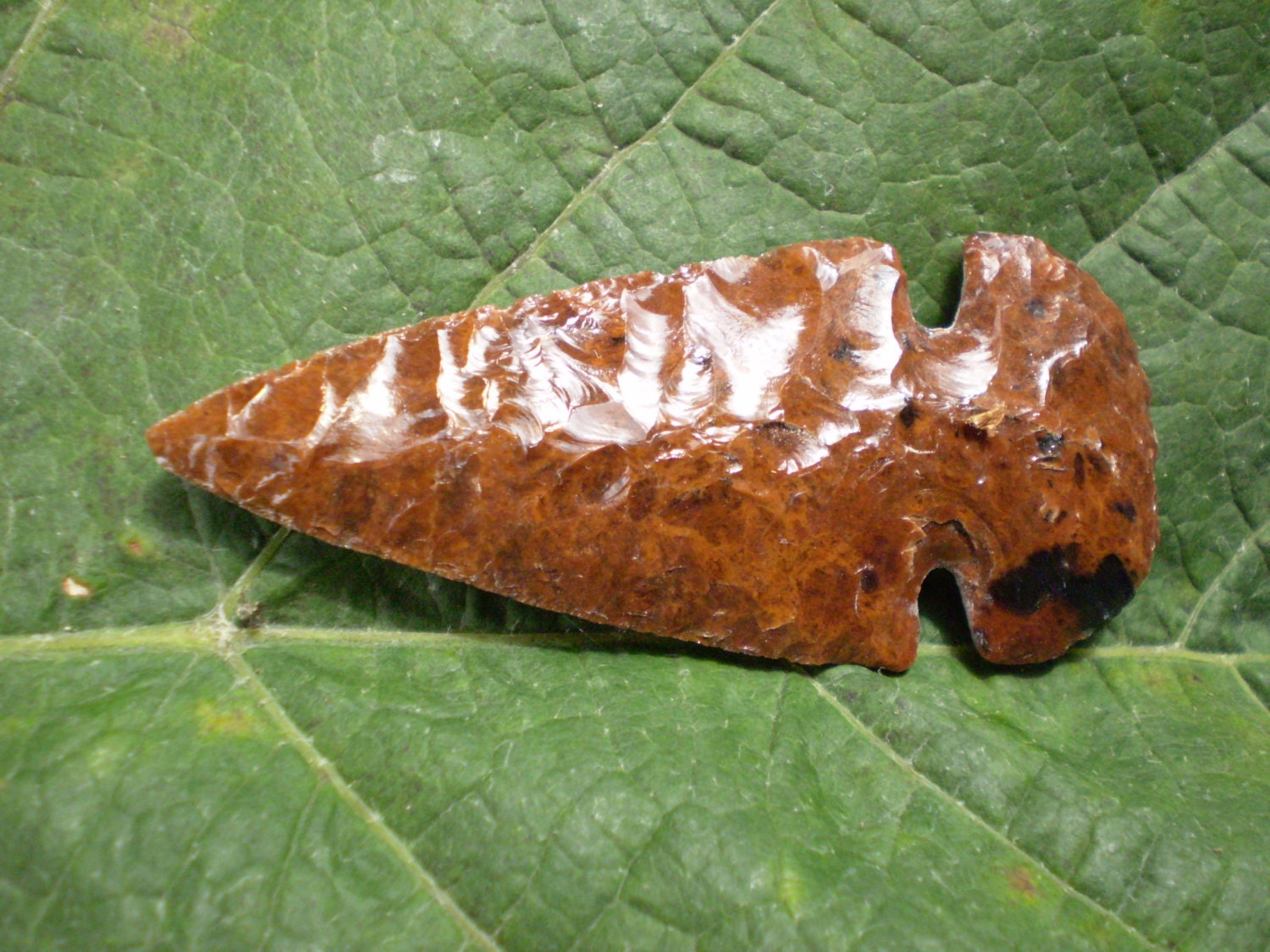 side notched arrowhead | WordReference Forums