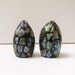 Vintage retro 1970s New Zealand souvenir paua abalone chips in resin salt and pepper shakers