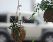 Kokedama, String Gardens